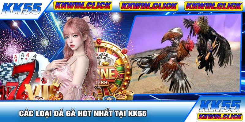 Các Loại Đá Gà Hot Nhất Tại KK55