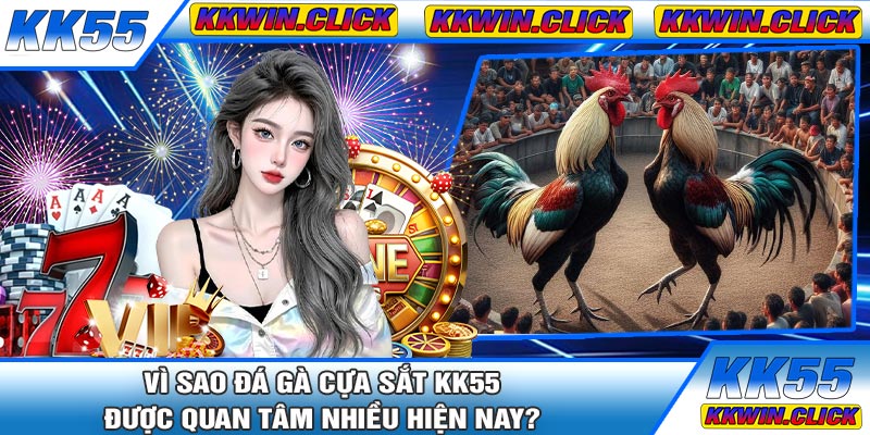 Vì Sao Đá Gà Cựa Sắt KK55 Được Quan Tâm Nhiều Hiện Nay?